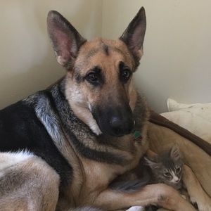 Meet your Posher, Pam